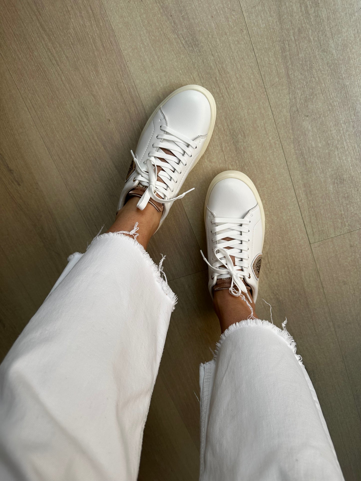 Sneakers Blauer coffea