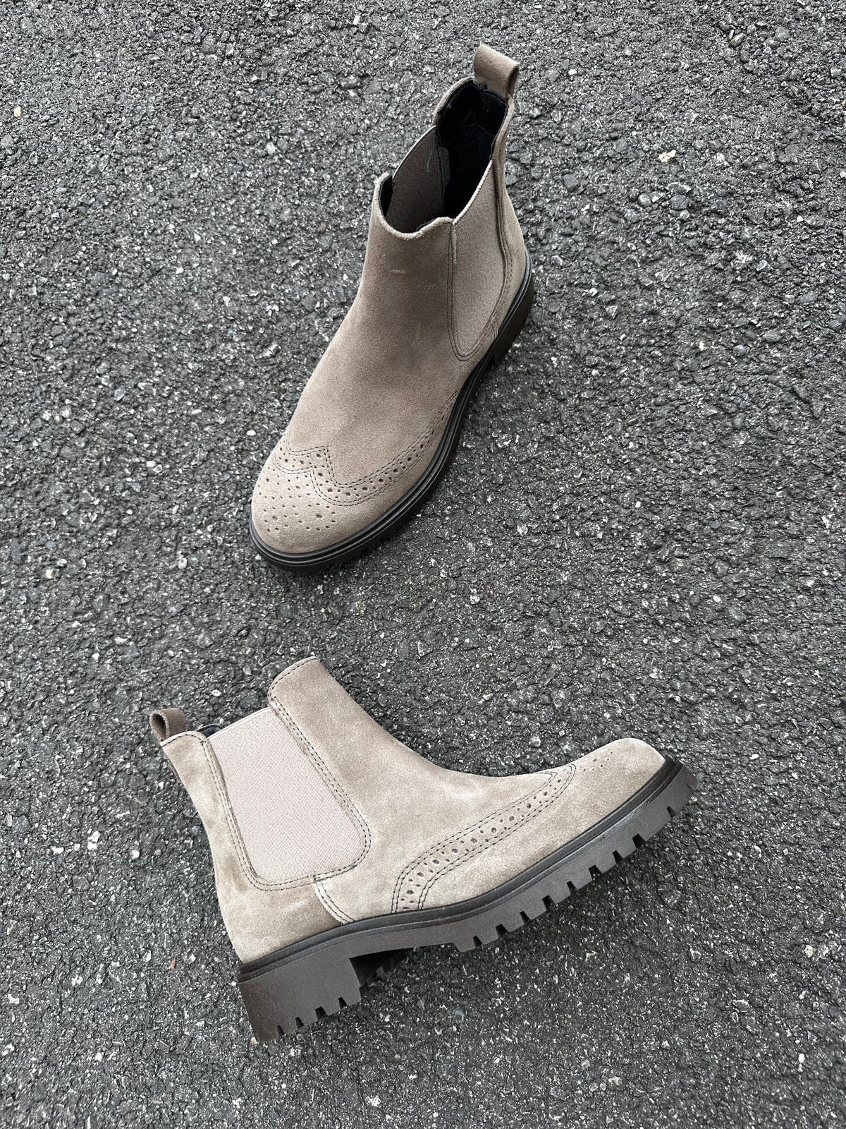 Polacchino Grey