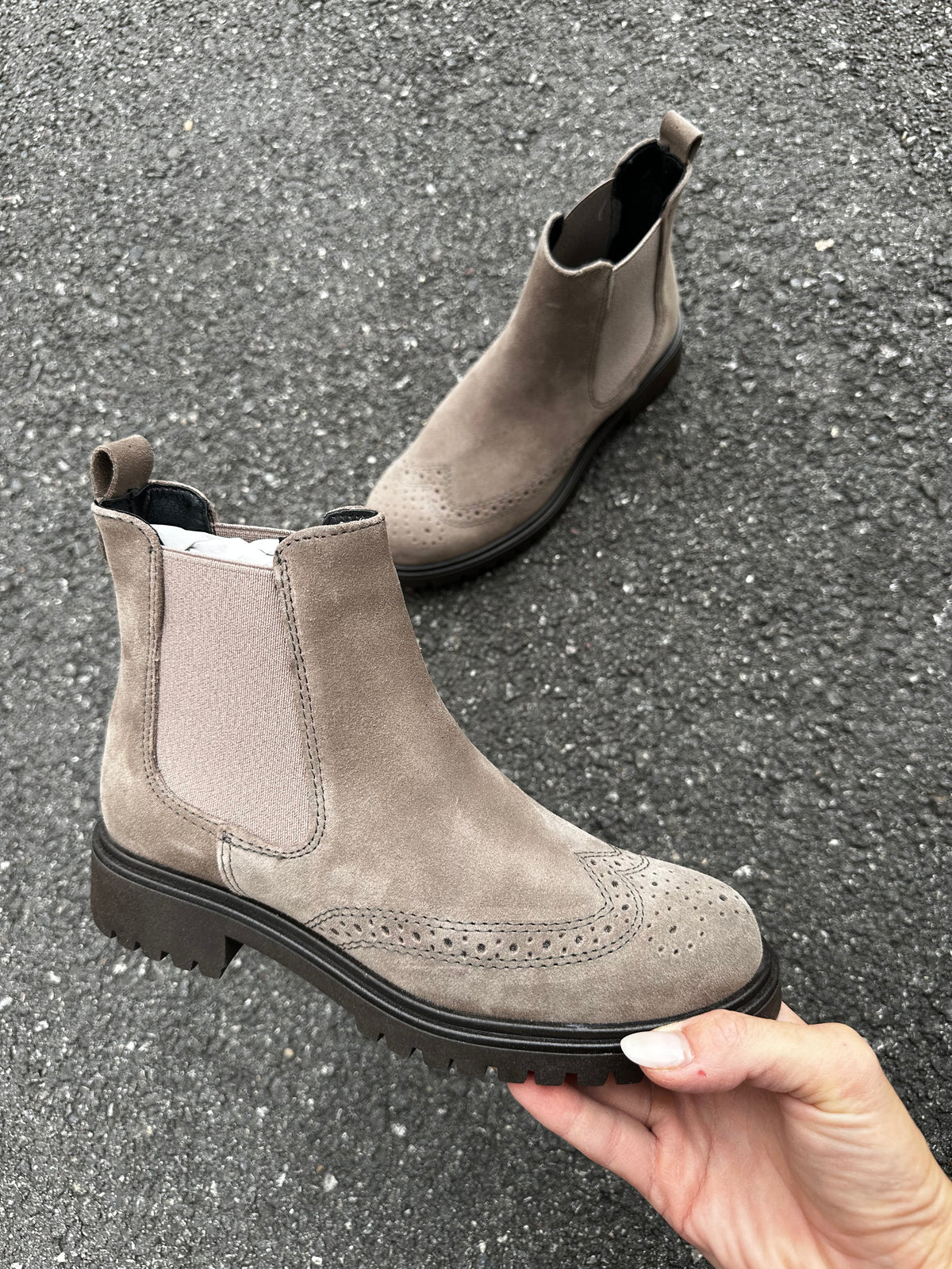 Polacchino Grey