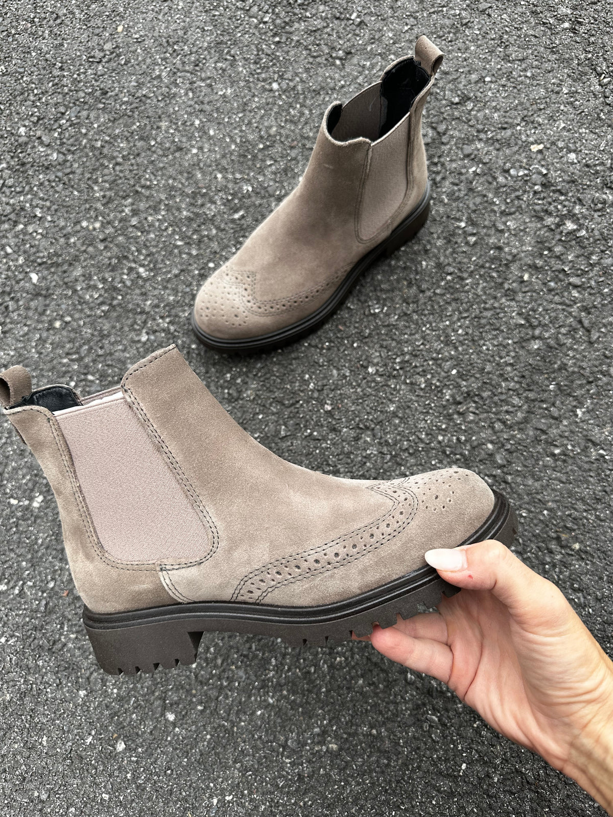 Polacchino Grey