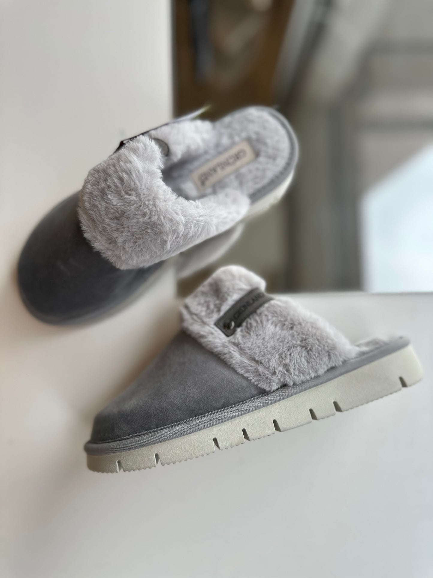 Pantofola pelo grigio