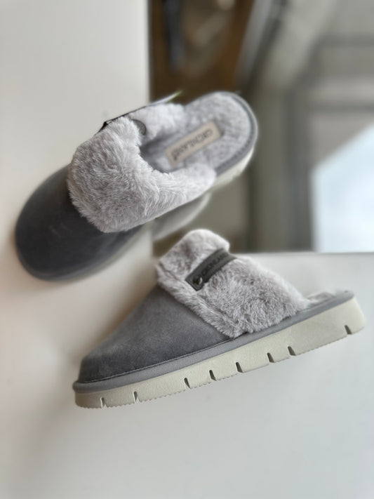 Pantofola pelo grigio